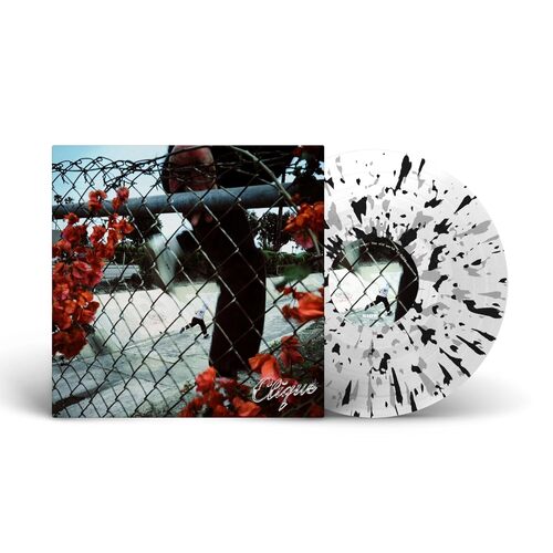 In Lives That Won't Last [LP] (Clear With Silver & Black Splatter Vinyl)