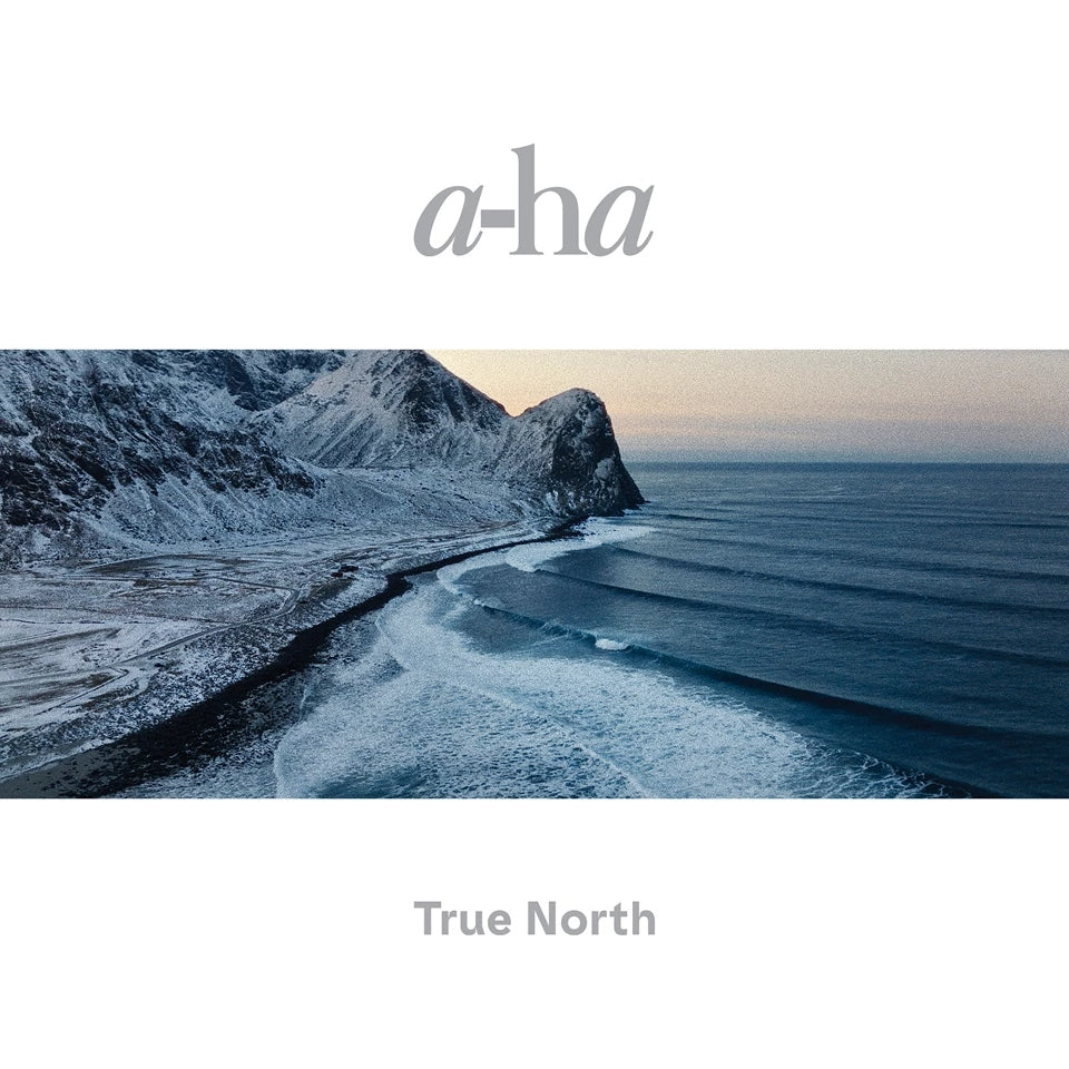True North [2LP]