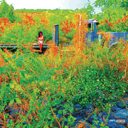 Jhené Aiko - Trip [2LP Picture Disc] — cover artwork
