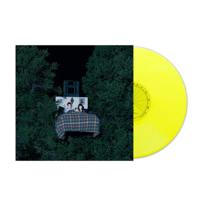 The Army, The Navy - Fake Brave Life [Vinyl] — product artwork