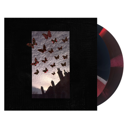 Moneen - Are We Really Happy With Who We Are Right Now? [2LP Black/Grey/Red Merge Vinyl] — product artwork