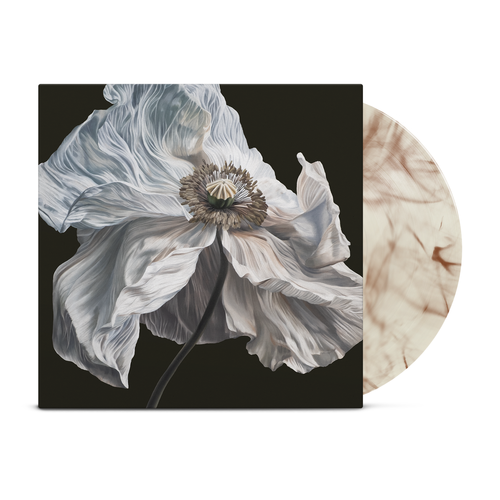 Quicksand - Bring On The Psychics [Coffee Swirl Vinyl] — cover and product artwork