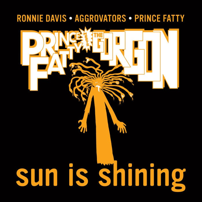 Ronnie Davis - Sun Is Shining cover artwork
