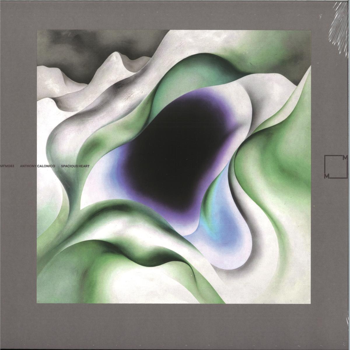 Anthony Calonico - Spacious Heart cover artwork