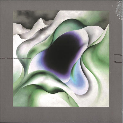 Anthony Calonico - Spacious Heart cover artwork
