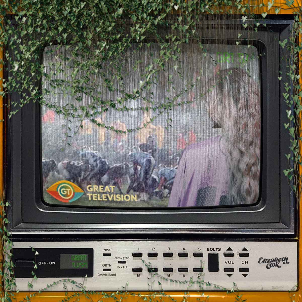 Elizabeth Cook - Great Television cover artwork
