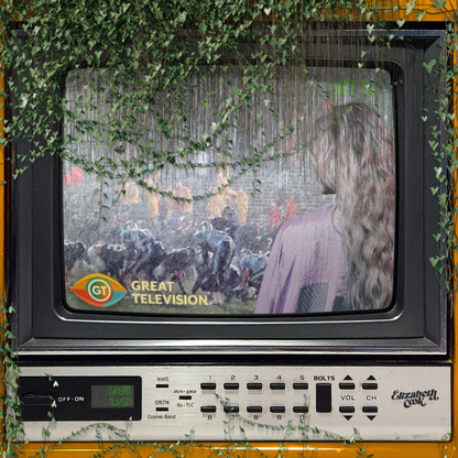 Elizabeth Cook - Great Television cover artwork