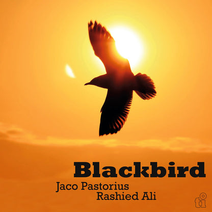 Jaco Pastorius & Rashied Ali - Blackbird cover artwork