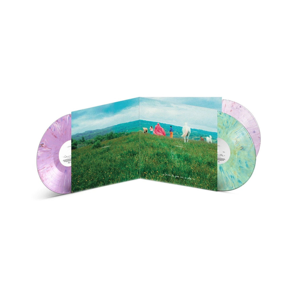 Camille - The Sound of Milk (Integral Edition) cover artwork