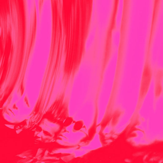 Ty Segall – Love Fuzzz [12" Vinyl]: cover artwork