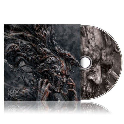 Distant – Into Despair [CD] — cover artwork