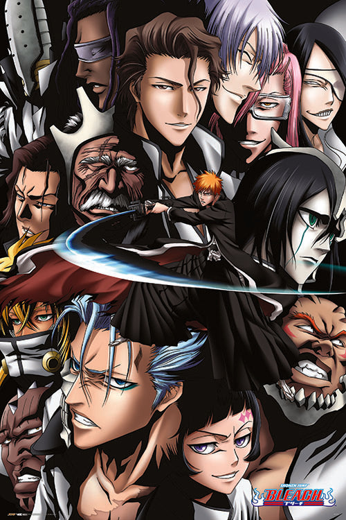 Bleach [24 x 36 Poster] artwork