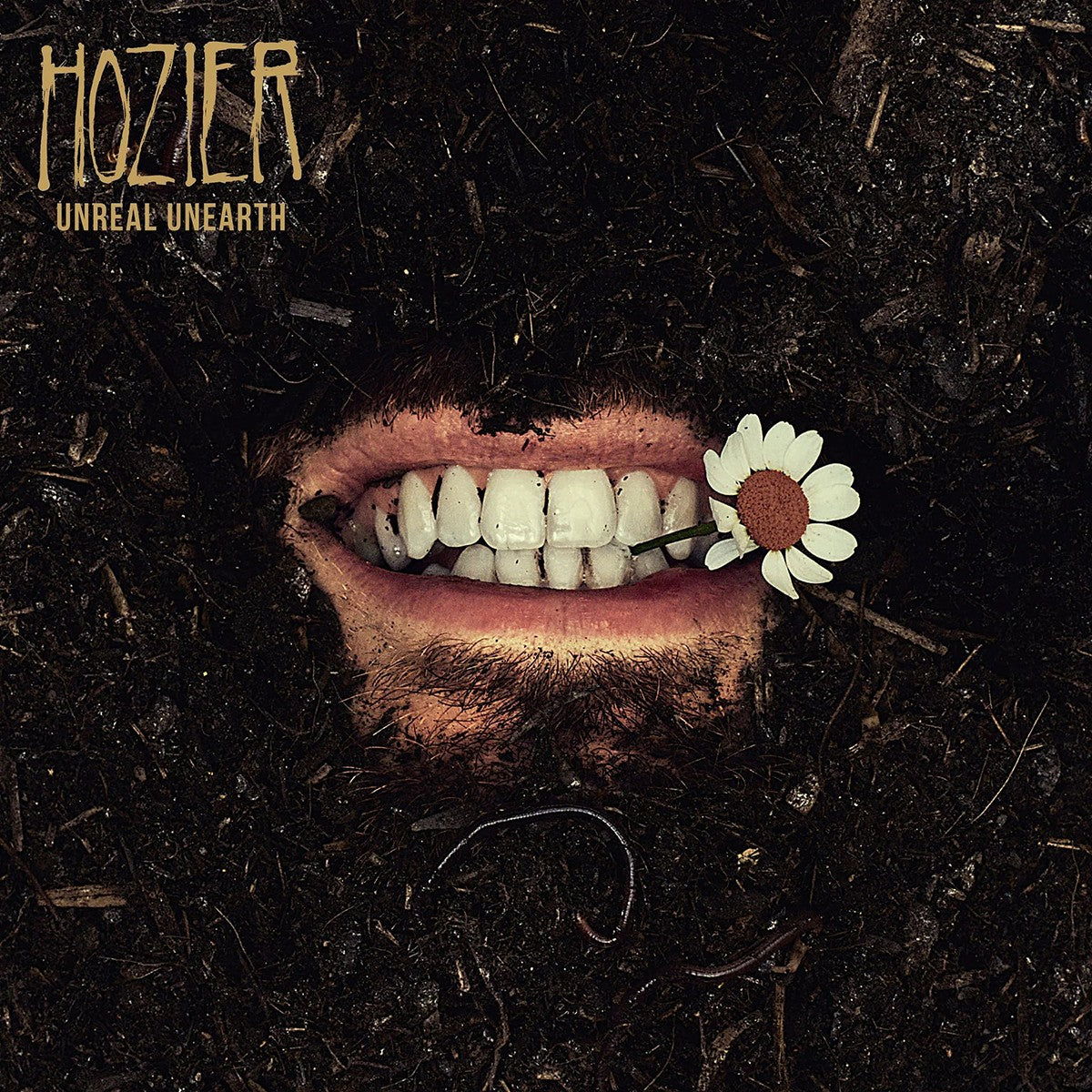 Hozier – Unreal Unearth [12 x 12 Poster] artwork