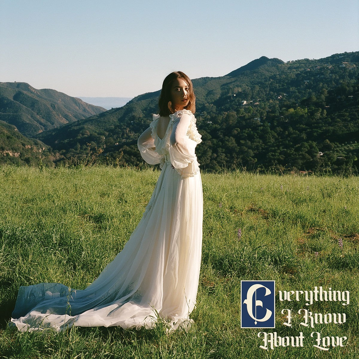 Laufey – Everything I Know About Love [12 x 12 Poster] artwork