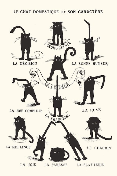 Le Chat poster featuring a chart of expressive black cats with French captions