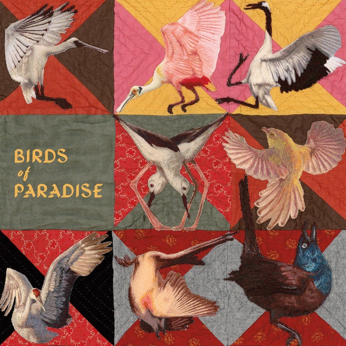 Thomas Dollbaum - Birds of Paradise — album artwork