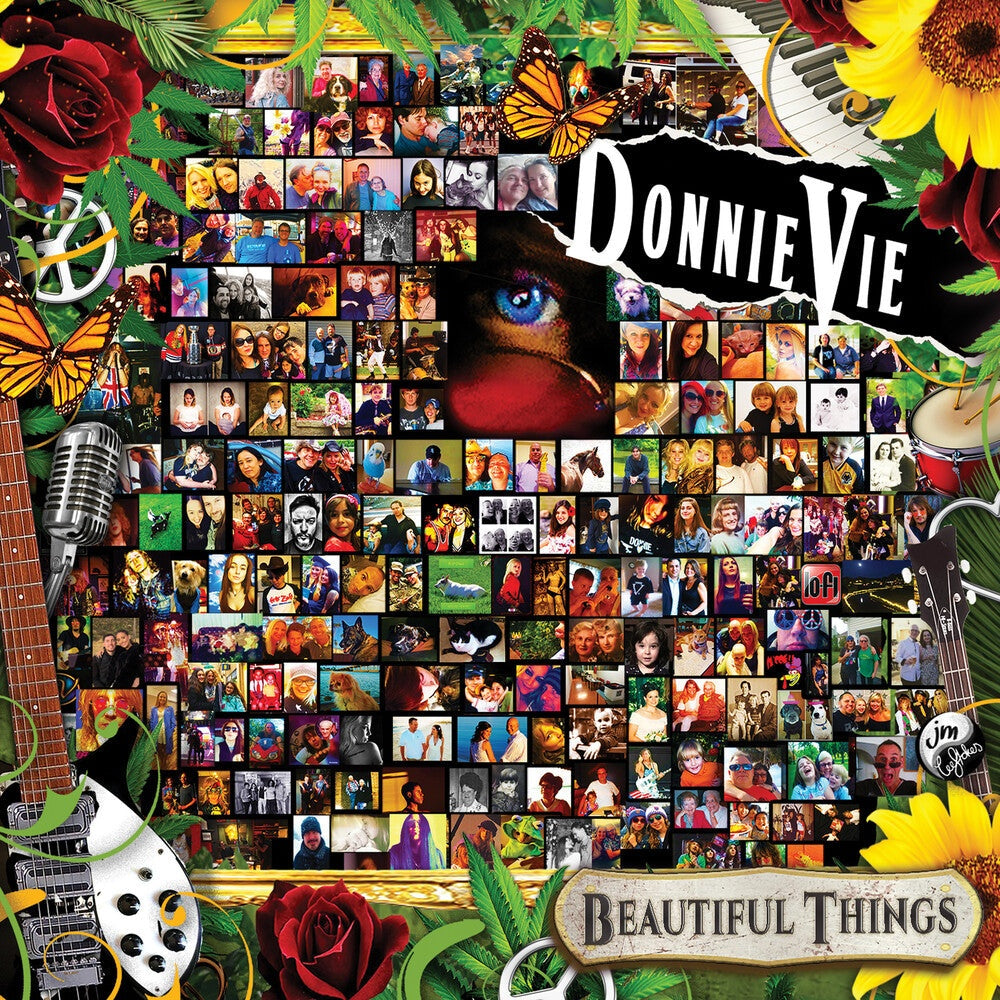 Donnie Vie - Beautiful Things — album artwork