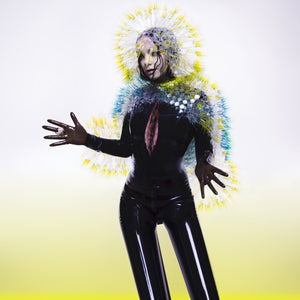 Björk - Vulnicura — product artwork
