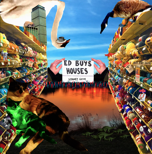Sidney Gish - Ed Buys Houses [Blue & White Cornetto Vinyl] cover art