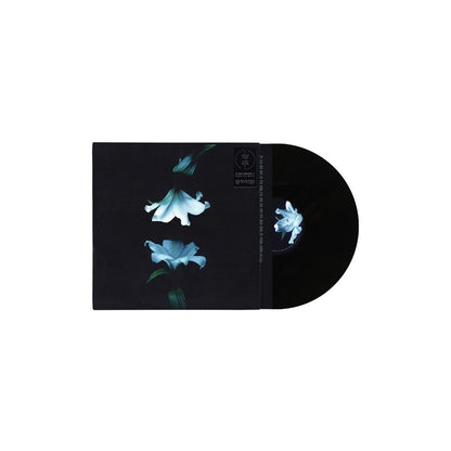 Wasia Project - Nocturne [2LP]