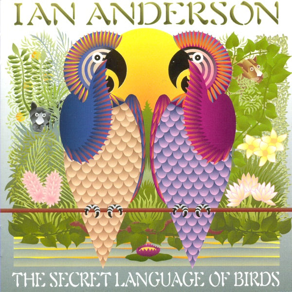 Ian Anderson - The Secret Language Of Birds — cover artwork