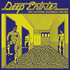 Various Artists — Deep Entries: Gay Electronic Excursions 1979–1985 [Vinyl]
