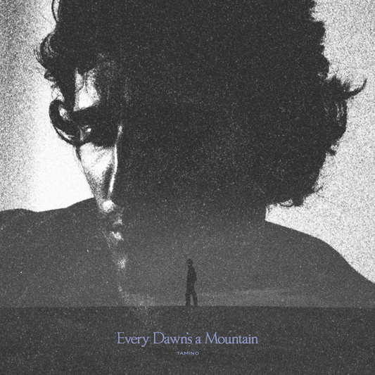 Tamino — Every Dawn's a Mountain [Black & Silver Vinyl]