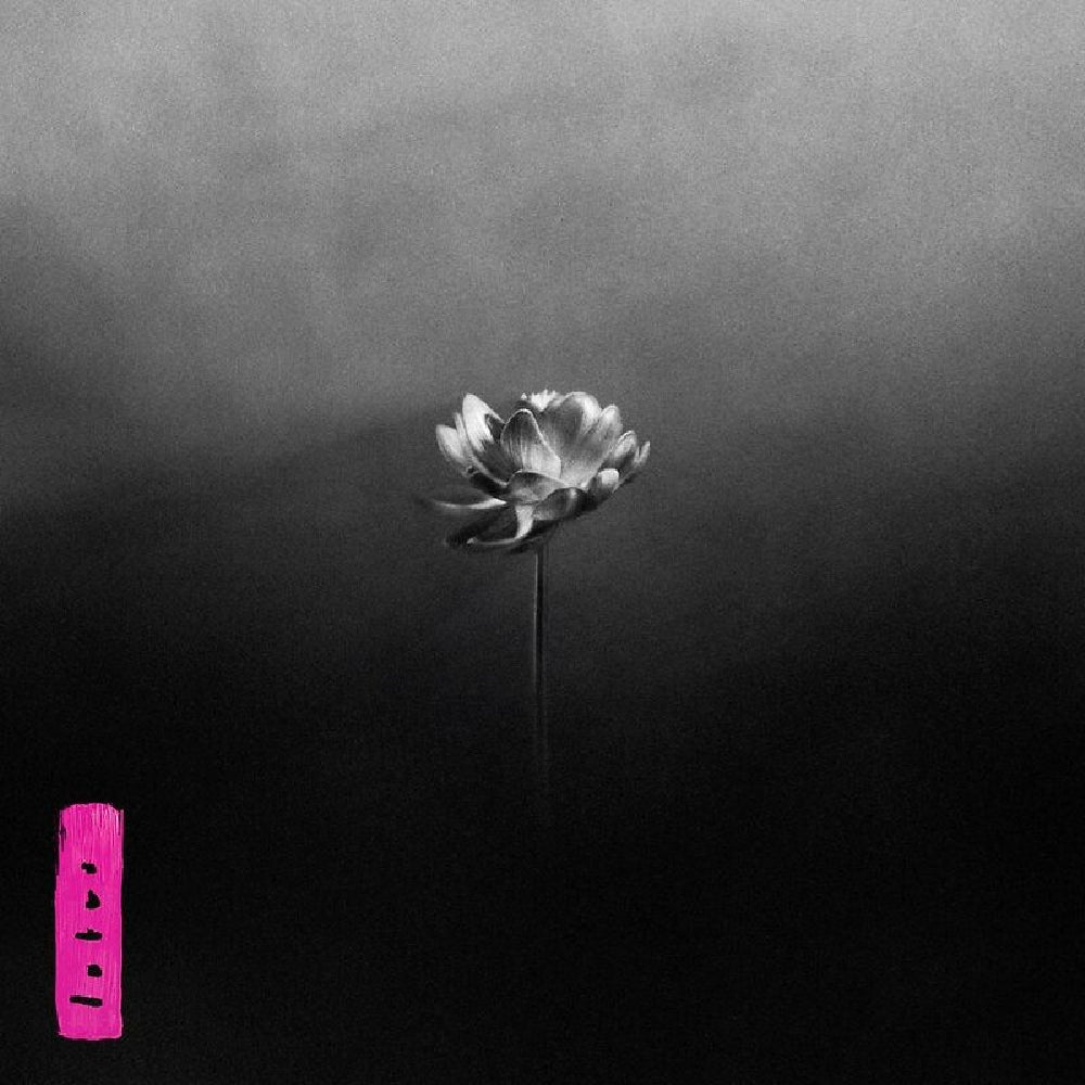 Little Simz — Lotus [CD] — cover artwork