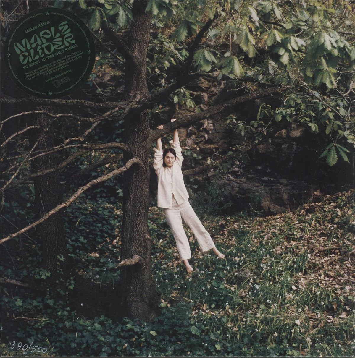 Maple Glider - To Enjoy Is The Only Thing [LP] — cover artwork