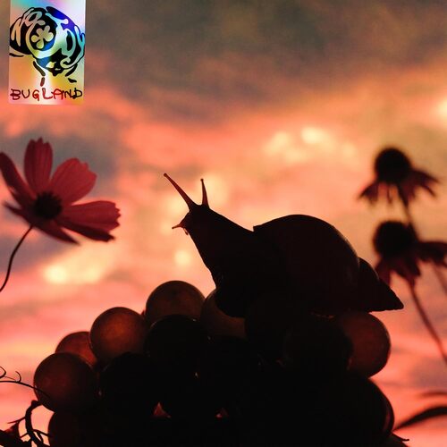 Bugland [LP] (Chrysalis Blue Vinyl)
