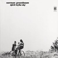 Spirit In The Sky [LP]