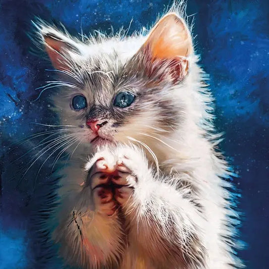 Pussy Disco 2LP