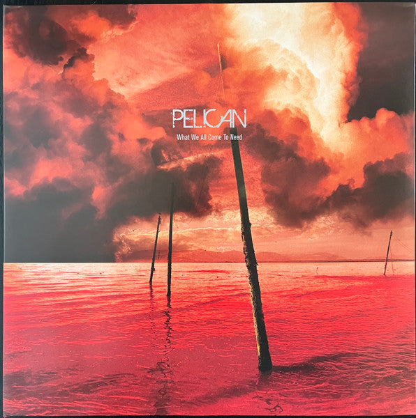 What We All Come To Need [LP] (Import)