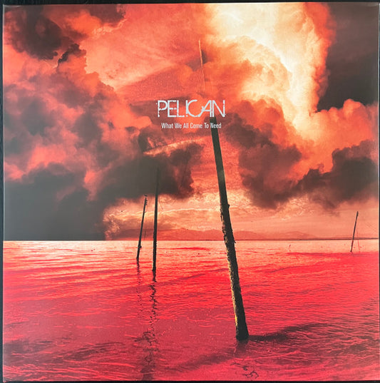 What We All Come To Need [LP] (Import)