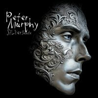Peter Murphy - Silver Shade [2LP Vinyl] - alternate product image