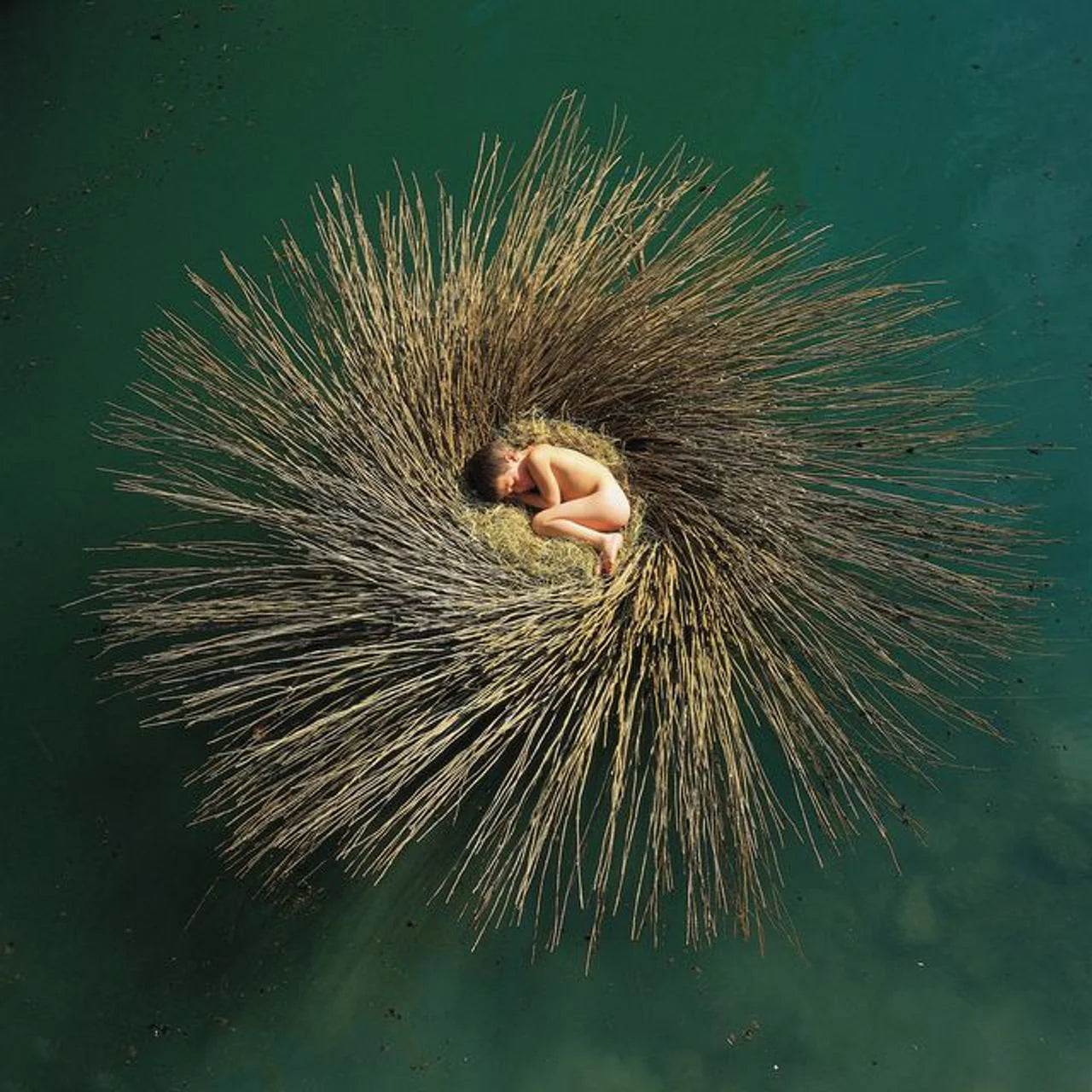 Ovo [2LP] (Blue & Orange Vinyl Half-Speed Remaster Import)