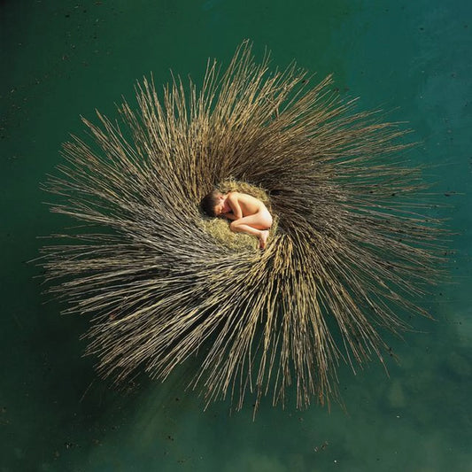 Ovo [2LP] (Blue & Orange Vinyl Half-Speed Remaster Import)