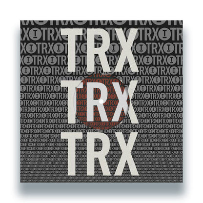 Various Artists - Toolroom Trax Sampler Vol. 4 cover artwork