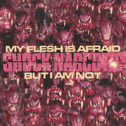 My Flesh Is Afraid But I Am Not [CD]