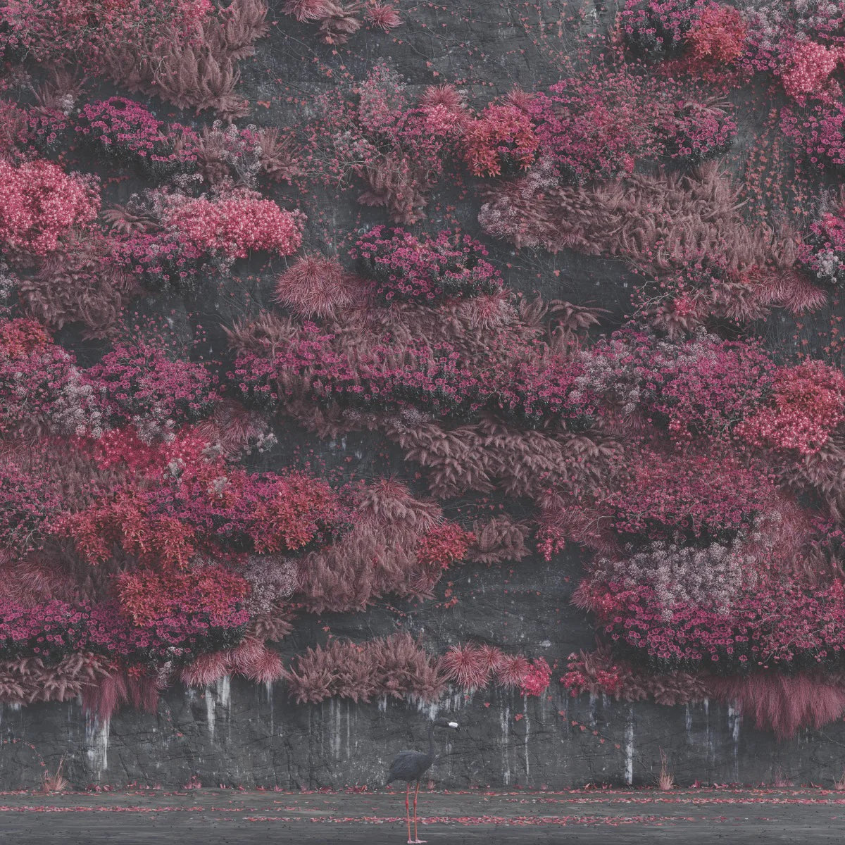 Even In Arcadia [CD]