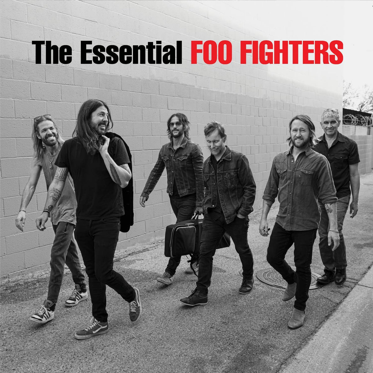 Foo Fighters – The Essential Foo Fighters [Vinyl 2LP]