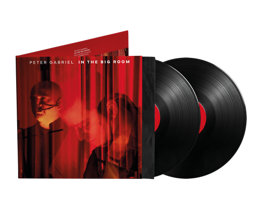 In The Big Room [Vinyl]