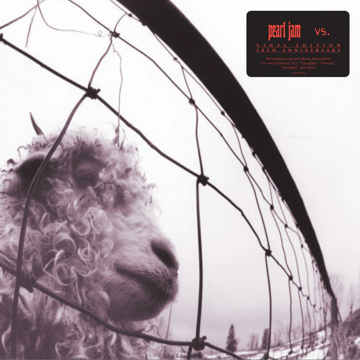 Pearl Jam – Vs. (30th Anniversary) [Clear Vinyl]