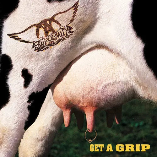 Aerosmith - Get A Grip [180 Gram Vinyl 2LP]