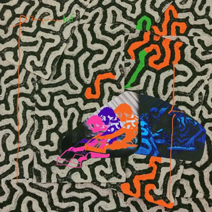 Animal Collective - Tangerine Reef [Vinyl LP]