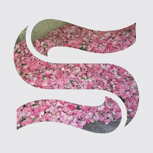 Braxe & Falcon - Step By Step [Digital Download Card]