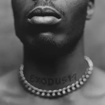 DMX - Exodus [Vinyl LP]