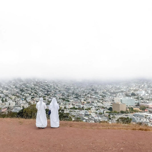 Death Cab for Cutie - Asphalt Meadows [Limited Pink Colored Vinyl]