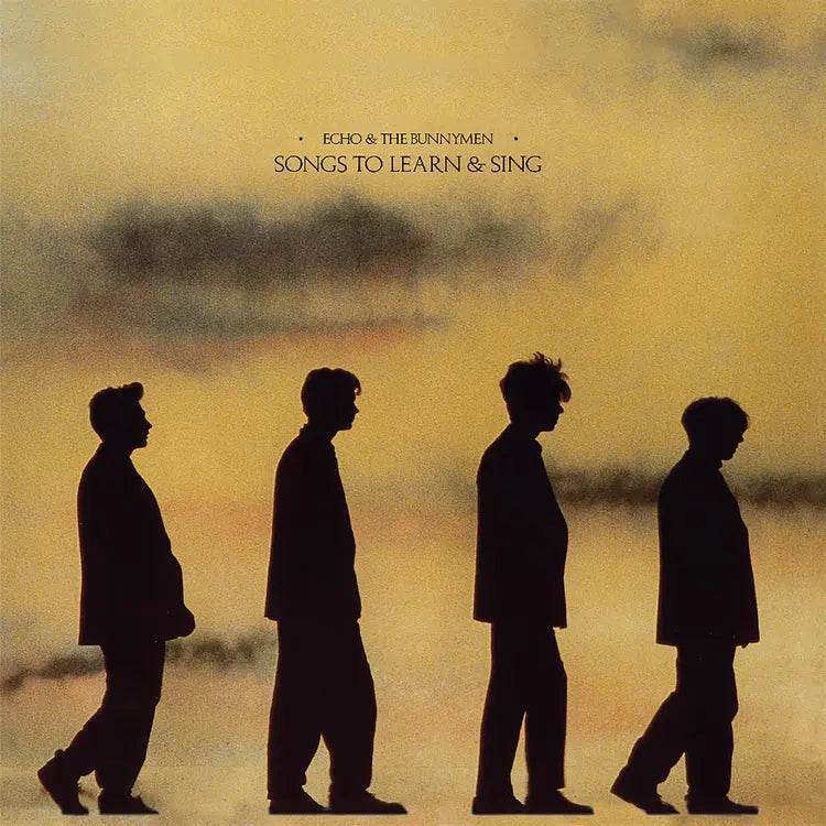 Echo And The Bunnymen - Songs to Learn & Sing (2021) [Vinyl LP]