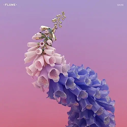 Flume - Skin [Explicit Content, Black Vinyl 2LP]